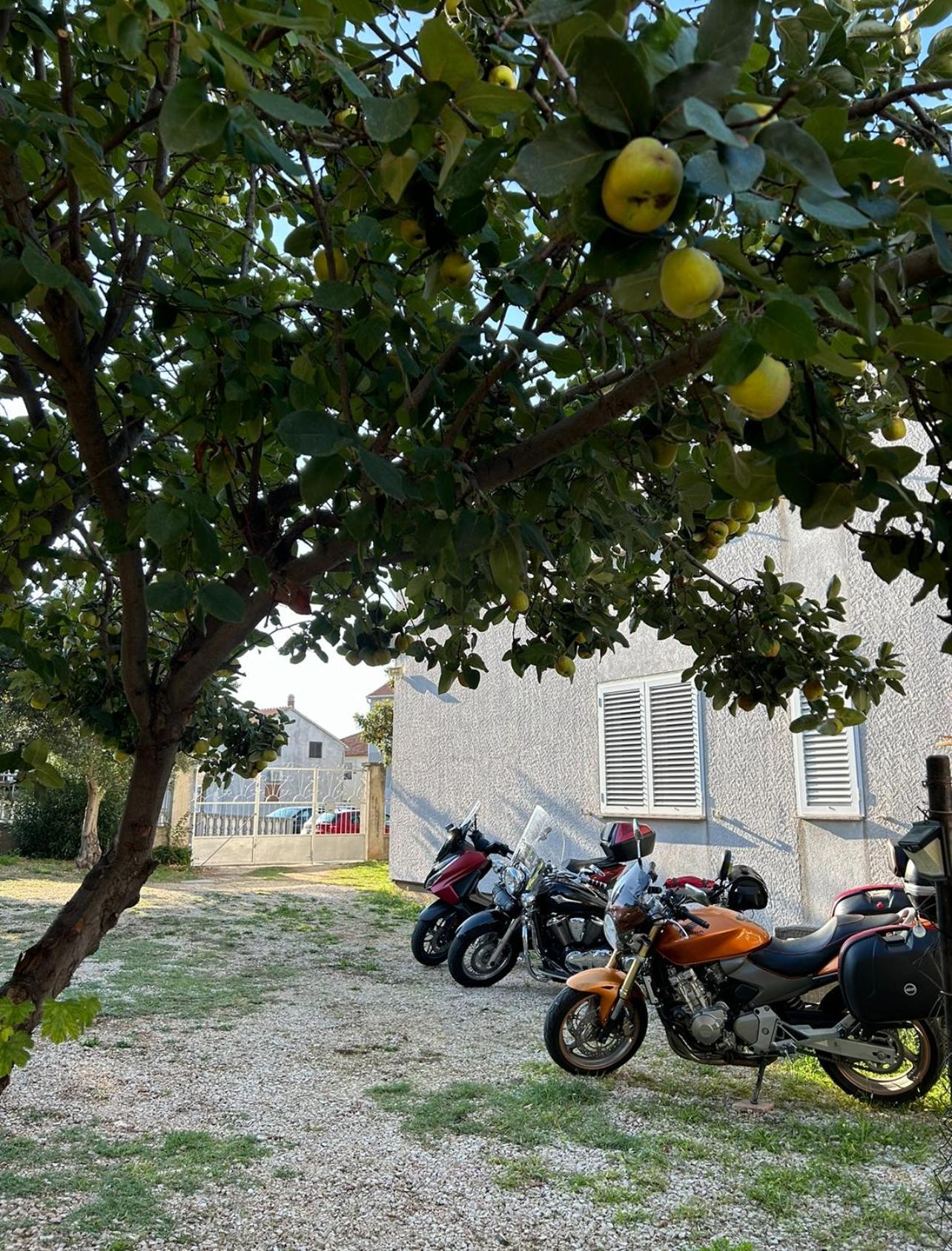 Villa Jadran Zadar Free Parking Sea View Extérieur photo